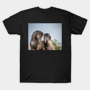 Konik Horses T-Shirt